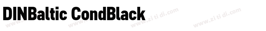 DINBaltic CondBlack字体转换